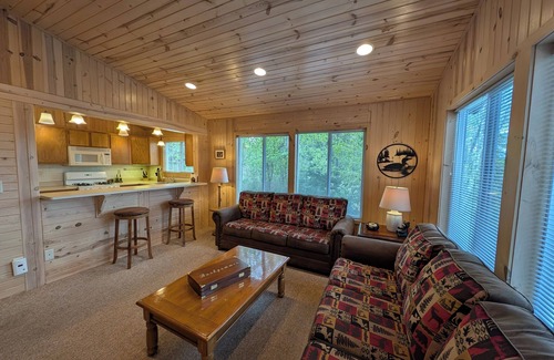 Sayner Cabina | Rustic Fawn at White Birch Lake | Fireplace, AC, Lake Access w/ Dock, Dogs OK