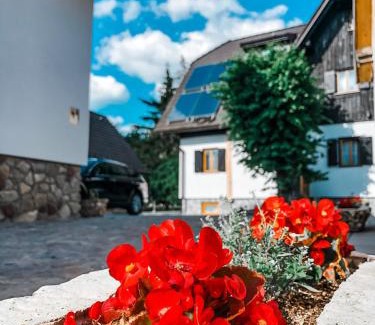 Prijeboj Casa | Rustic Inn River 2
