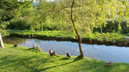 Prijeboj Casa | Rustic Inn River 2