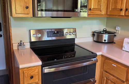 Speedwell Cabina | Rustic Lakefront Cabin with private double-deck dock, slide, hot tub, more!