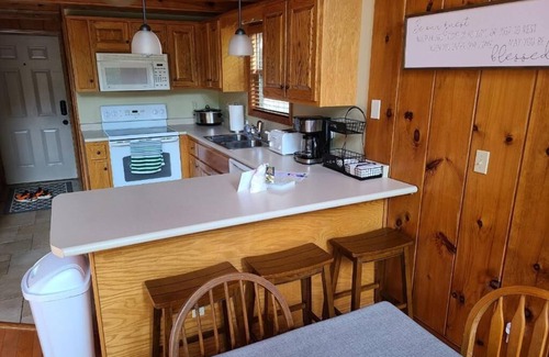 Speedwell Cabina | Rustic Lakefront Cabin with private double-deck dock, slide, hot tub, more!