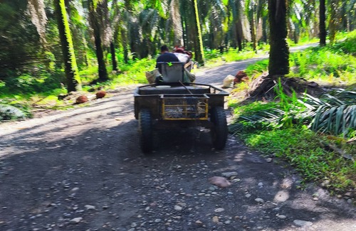 Parrita Cabina | Cabaña Rustica de madera