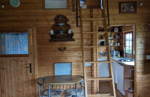 Harmer Hill Cabaña | Rustic Log Cabin - Dog Friendly - Sleeps 2 - Views