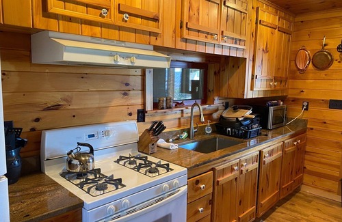 Dansville Cabina | Rustic Log Cabin with Pond and Breathtaking View