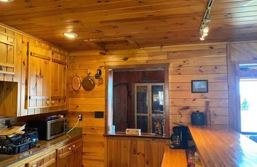 Dansville Cabina | Rustic Log Cabin with Pond and Breathtaking View