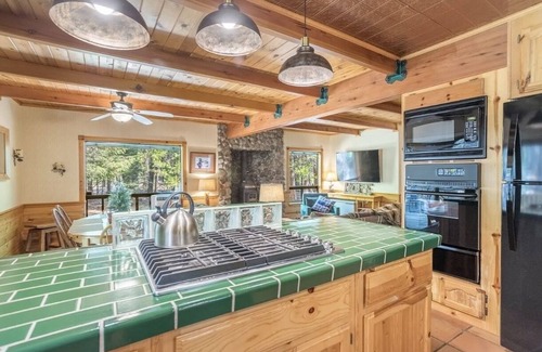Shingletown Cabina | Rustic Mountain Cabin - 9 Miles to Lassen Park-EV Charging