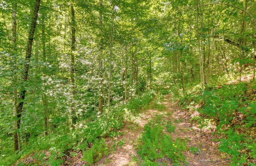 Rabun Gap Cabina | Rustic Rabun Gap Cabin ~ 2 Mi to Dtwn Clayton!