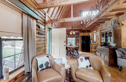 Tiger Cabina | Rustic retreat with mountain views, hot tub, grill, fireplace, central AC, & W/D