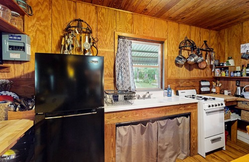 Bronson Cabina | Rustic riverfront cabin with views, firepit, grill, canoe, kitchen, & W/D