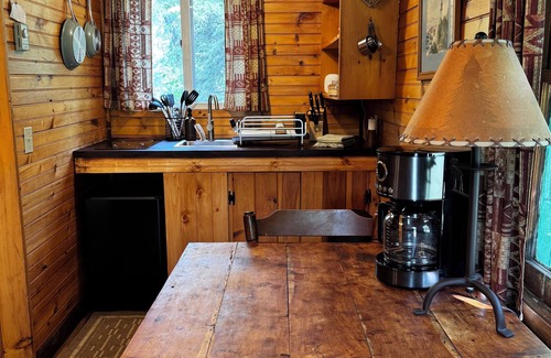 Lake Placid Casa | Rustic Skylight Adirondack Cabin