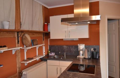 Neu Bartelshagen Apartamento | Rustic-style Apartment in Buschenhagen with Garden