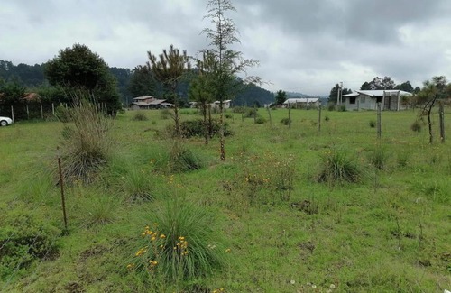 Valle de Bravo Casa | Rusticabaña los saucos