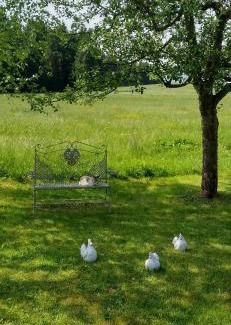 Steingaden Apartamento | Rustico di Angelo