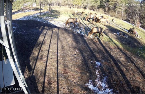 Benezette Alquiler De RV | RV Lot On Best Elk Viewing Road (Across From Visitor’s Center)