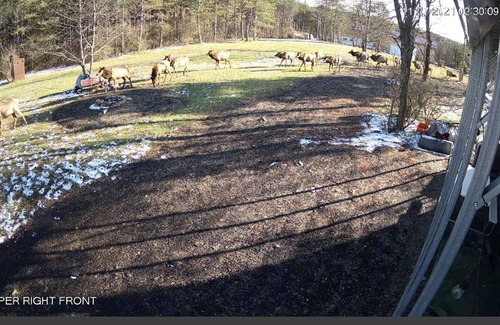 Benezette Alquiler De RV | RV Lot On Best Elk Viewing Road (Across From Visitor’s Center)