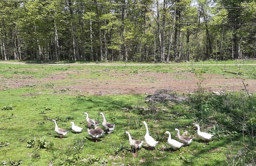 Town of Burns Casa | RV on Farmstead with Private Spring Fed Pond