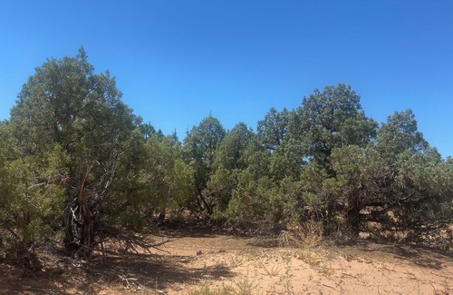 Roosevelt Casa | RV on private road in the cedarsnn