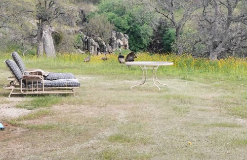 Raisin Alquiler De RV | RV Parking in the beautiful country