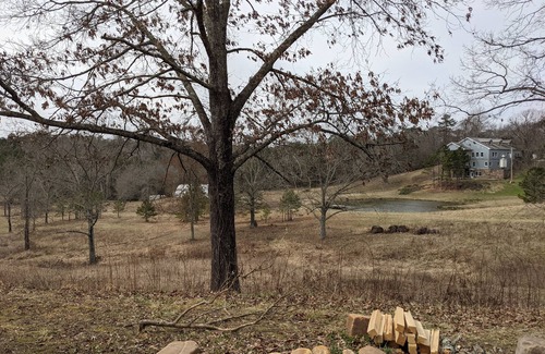 Oden Alquiler De RV | RV site #10 Ouachita Campground at Edendell