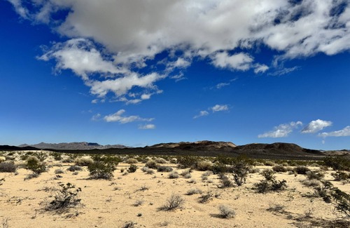 Wonder Valley Alquiler De RV | Campground with fire pit under the stars