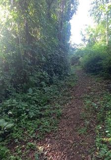 Buwekula Otro | Rwekyapa Agro eco-tourism and learning center