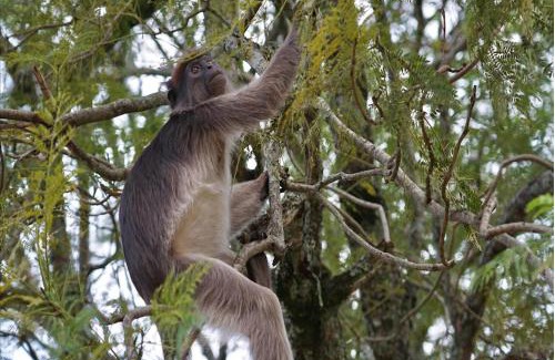 Fort Portal Casa | Rweteera Homestay