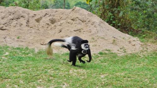 Fort Portal Casa | Rweteera Homestay
