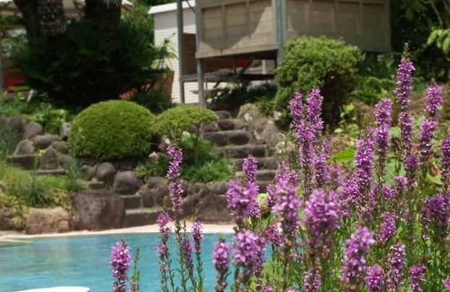 Yatsu Casa | Ryokan Hanareya Ishidaya