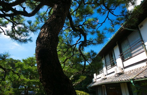 Karatsu Casa | Ryokan Wataya