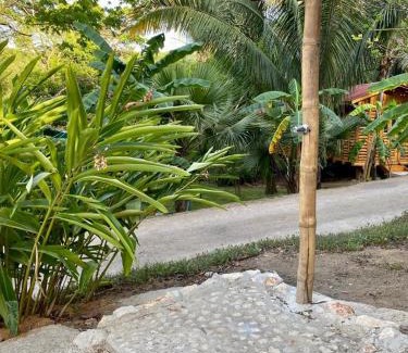 Samara Apartamento | Sámara Tarantela Houses, Casa Coyol
