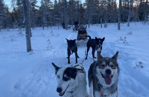 Grondalen Otro | Sæteråsen Hytter & Camping Trysil