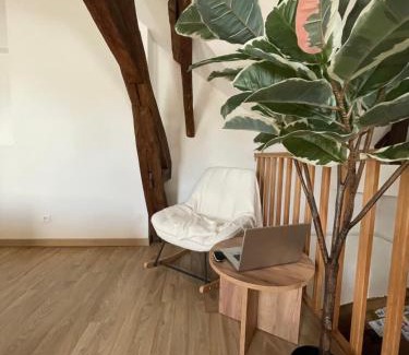 Jargeau Apartamento | Séjour cosy à 2 pas de la Loire