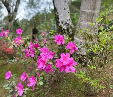 Blumenau Casa | Sítio a 5 min da Villa Germânica