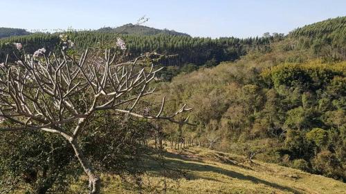 Amparo Casa | Sítio Alvorada - Paraíso localizado no Circuito das Águas Paulista