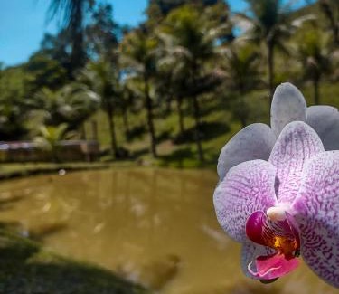 Cachoeiras de Macacu Casa | Sítio Bosque das Palmeiras