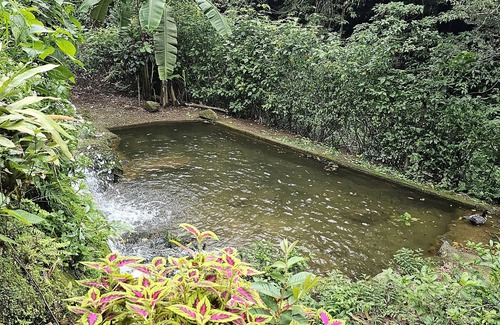 Petropolis Casa | Sítio com Piscina e Cachoeira em Petrópolis