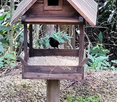 Paulo Lopes Casa | Sítio Colibri - casa inteligente