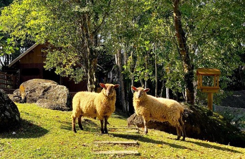 Palhoca Casa | Sítio do Alto - Lazer, Conforto e Fácil Acesso