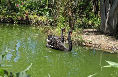 Ribeirao Das Neves Cabina | Sítio Esperança e Fé