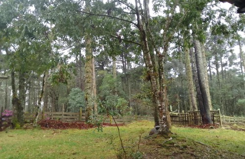 Gramado Otro | Sítio lageana