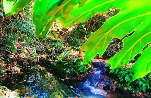 Murutinga do Sul Casa | Sítio Santo Reis - Paraíso das Águas