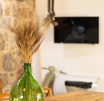 Oliena Casa | S'ogiastru