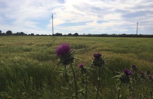Sa Torre Casa | Sa Bassa Crua Agroturismo