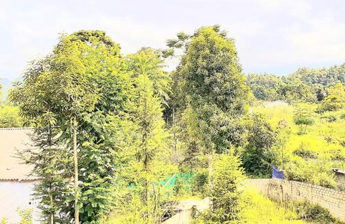 Bac Ha Casa | Sa House Bac Ha