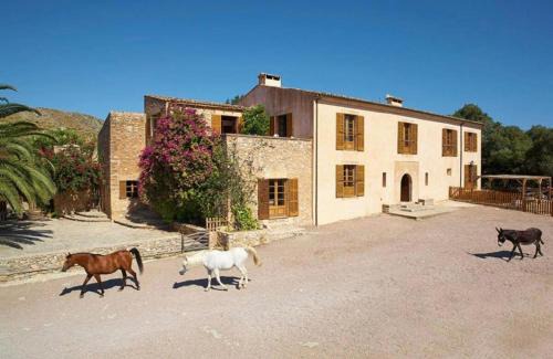 Capdepera Villa | Sa Mesquida de D’alt