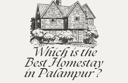 Palampur Casa | SAAR Palampur Villa 5 BHK With Dhauladhaar Mountains View