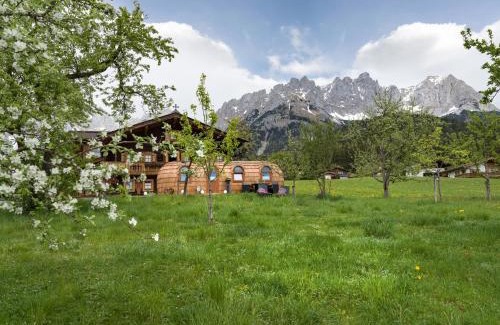 Going am Wilden Kaiser Apartamento | Sabindls Kaiser Platzl