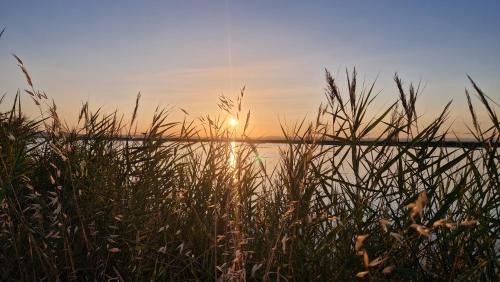 Carnon-Plage Apartamento | Sable & Pampas - Meublé de Tourisme 5 étoiles