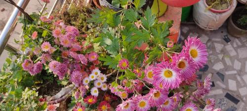 Allahabad Alquiler De Eote | Sachan homestay