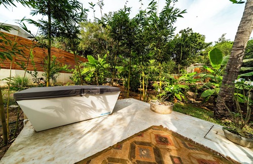 Saladita Apartamento | Sacred Surf Retreat – Ice Bath, Yoga, Pool, Templo